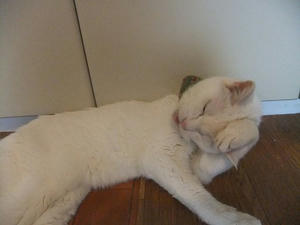 DSCF5831.JPG