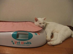 DSCF5806.JPG
