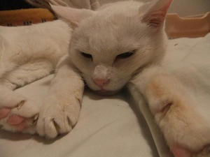 DSCF5778.JPG