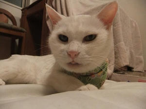 DSCF5777.JPG