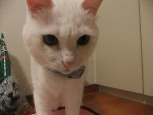 DSCF5696.JPG