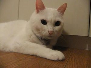 DSCF5692.JPG