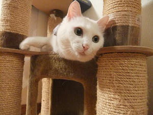 DSCF5728.JPG