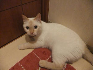 DSCF5854.JPG