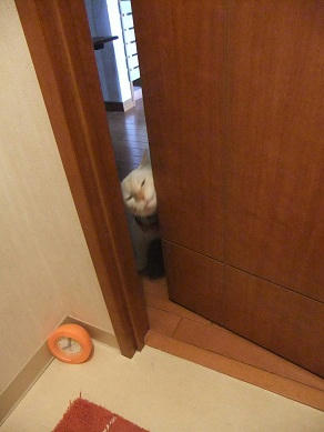 DSCF5852.JPG