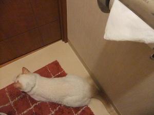 DSCF5847.JPG