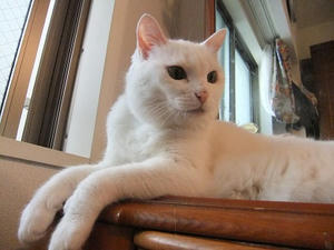 DSCF5824.JPG