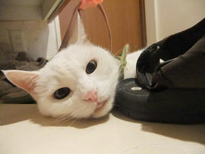 DSCF5790.JPG