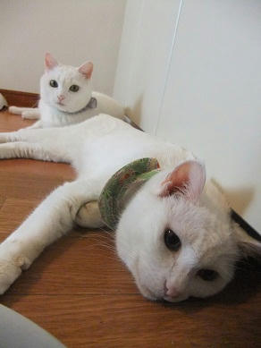DSCF5828.JPG