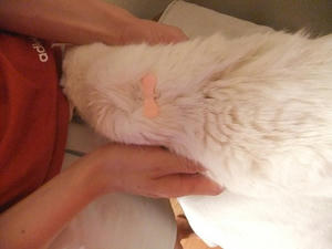 DSCF5862.JPG