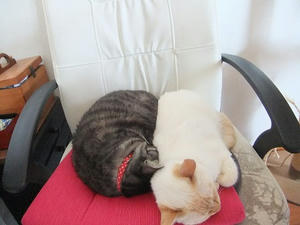 DSCF5191.JPG