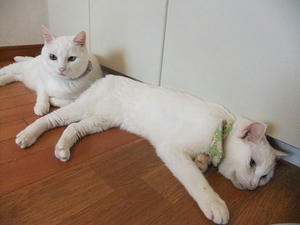 DSCF5827.JPG