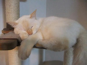 DSCF6020.JPG