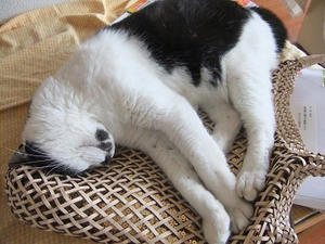 DSCF5865.JPG