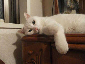 DSCF5905.JPG