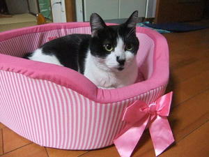 DSCF5914.JPG