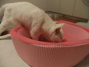 DSCF5916.JPG