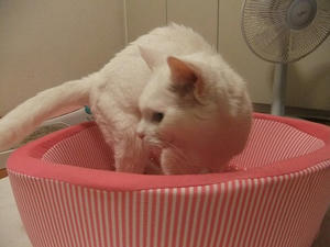 DSCF5917.JPG
