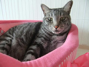DSCF5930.JPG
