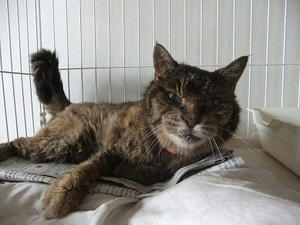 DSCF6017.JPG
