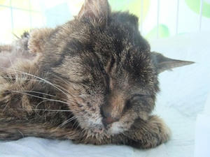 DSCF6028.JPG
