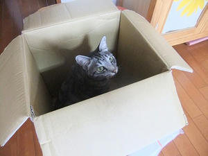 DSCF5856.JPG