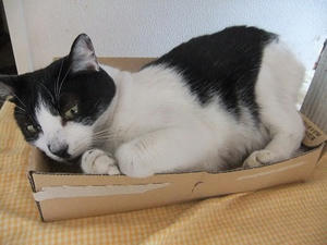DSCF6050.JPG