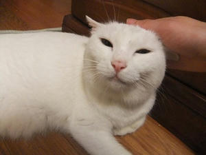 DSCF6188.JPG