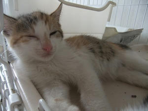 DSCF6154.JPG