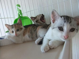 DSCF6184.JPG