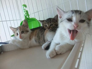 DSCF6183.JPG