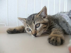 DSCF6167.JPG
