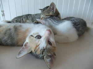 DSCF6195.JPG