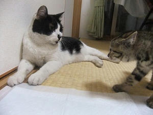DSCF6215.JPG
