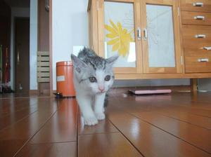 DSCF6141.JPG