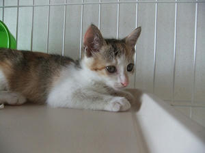 DSCF6156.JPG