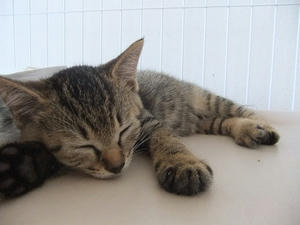 DSCF6174.JPG