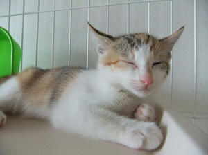 DSCF6175.JPG
