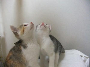 DSCF6285.JPG
