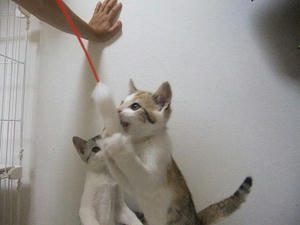 DSCF6286.JPG