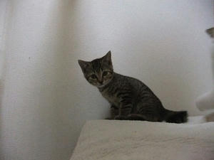 DSCF6270.JPG