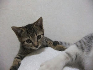 DSCF6316.JPG