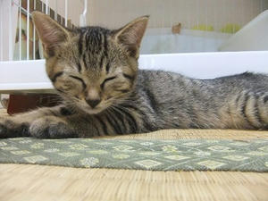 DSCF6217.JPG