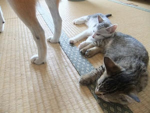DSCF6369.JPG