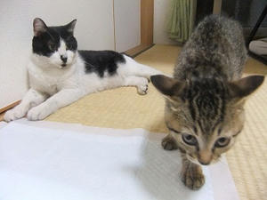 DSCF6216.JPG