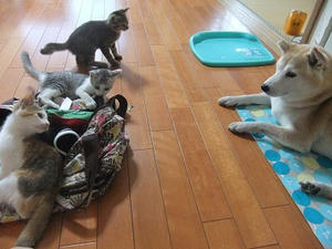 DSCF6376.JPG