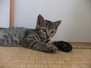 DSCF6241.JPG