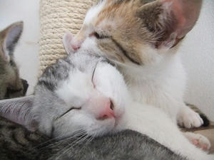 DSCF6424.JPG