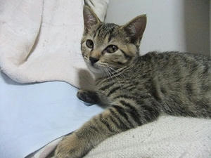 DSCF6439.JPG