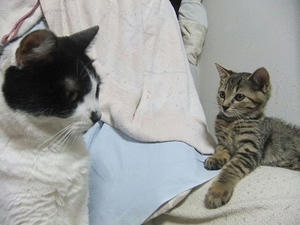 DSCF6438.JPG